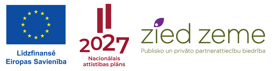 Logotipu_rinda_copy.png
