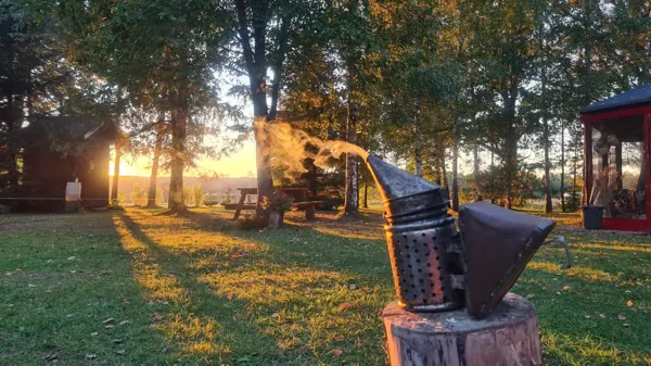 Saulrieti mūsu pagalmā ir fantastiski!